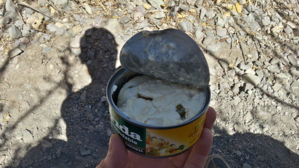 Menu du jour : salade de mayonnaise.